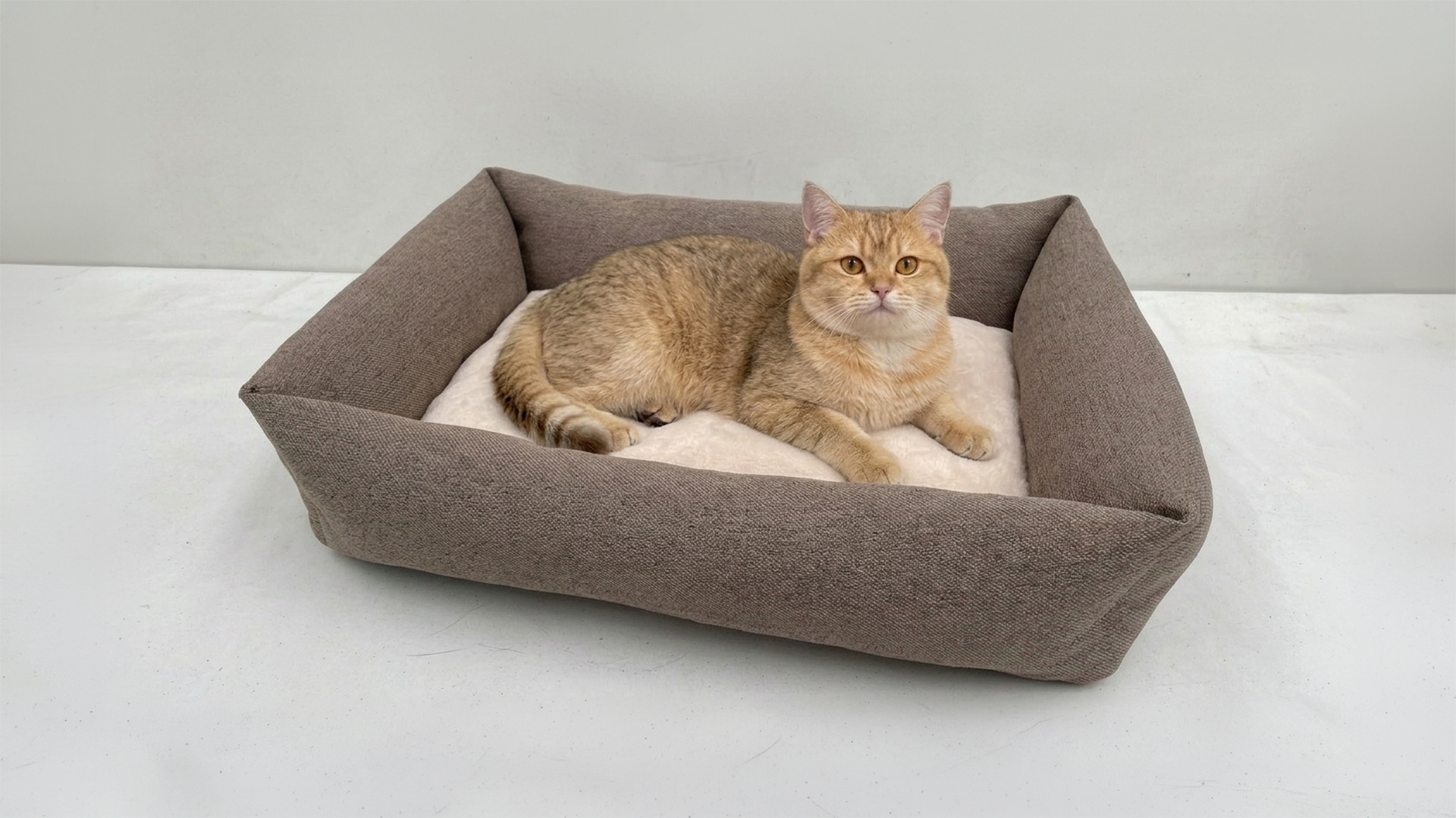 Orangefarbene Katze liegt in braunem Stoffbett mit cremefarbener Einlage – gemütliches Katzenbett für Katzen und kleine Hunde