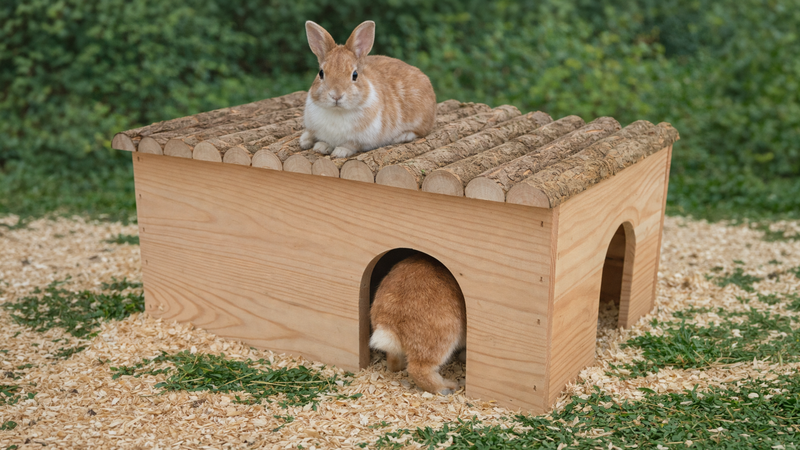 Braunes Holz-Nagerhaus mit zwei Eingängen – Kaninchen sitzt oben, zweites Kaninchen schlüpft hinein – Kleintierzubehör für Kaninchen und Kleintiere
