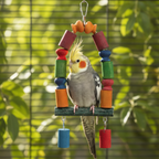 Vogelspielzeug 35cm Bunte Papageienschaukel mit Sitzstange aus Holz mit einem Nymphensittich