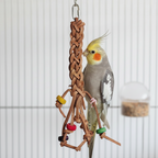 Papageienspielzeug Vogelspielzeug Lederzopf mit Holzelementen 37 cm mit einem Nymphensittich