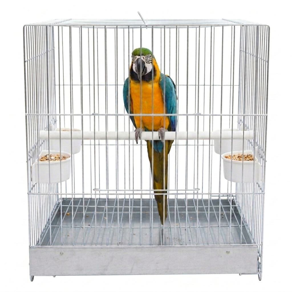 Papageien Transportkäfig 40x40x50cm - Sicherer Vogelkäfig verchromt