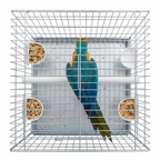 Papageien Transportkäfig 40x40x50cm - Sicherer Vogelkäfig verchromt
