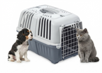 Ein kleiner Welpe und eine graue Katze sitzen neugierig direkt neben der grauen Transportbox.