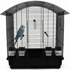 Vogelkäfig Ula Schwarz für Wellensittiche & Kanarien mit Zubehör mit einem Wellensittich im Käfig