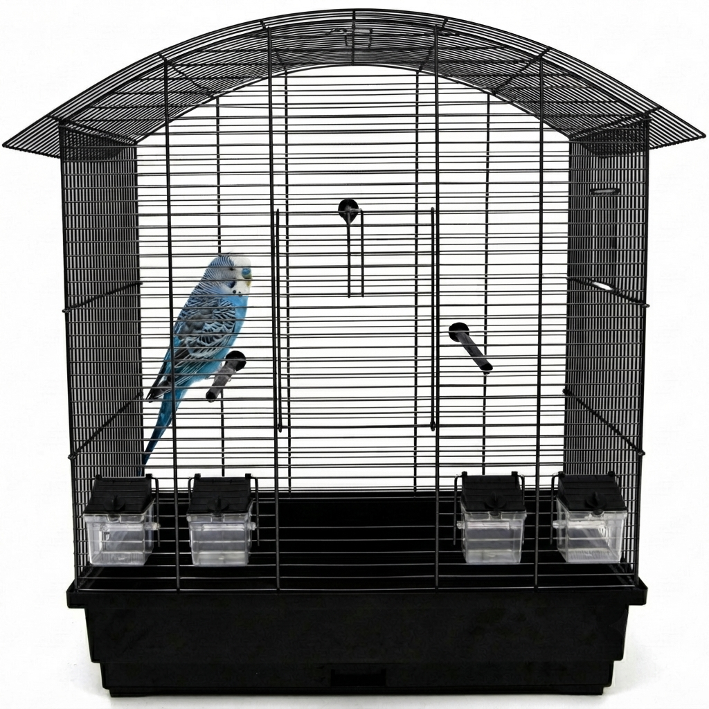 Vogelkäfig Ula Schwarz für Wellensittiche & Kanarien mit Zubehör mit einem Wellensittich im Käfig