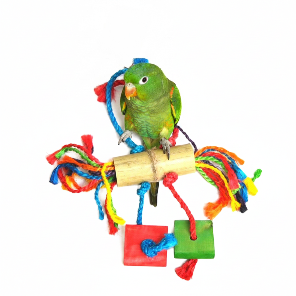 Freigestellte Produktansicht von Papageienspielzeug Vogelspielzeug Kletterseil mit Holz-Details 36 cm mit einem grünen Vogel