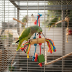 Papageienspielzeug Vogelspielzeug Kletterseil mit Holz-Details 36 cm in einer Voliere