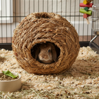 Grasnest XXL Heukugel Hasenhaus 20 cm für Meerschweinchen & Nager mit einem kleinen Kaninchen im inneren.