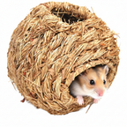 Freigestellte Produktansicht von Grasnest XXL Heukugel Hasenhaus 20 cm für Meerschweinchen & Nager mit einem Nager im inneren.