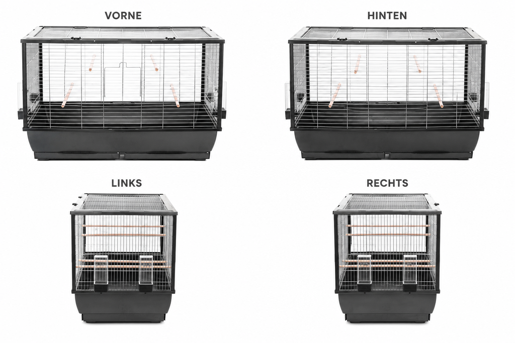 Cage à oiseaux perruche canaris avec volière ouverte vers le haut