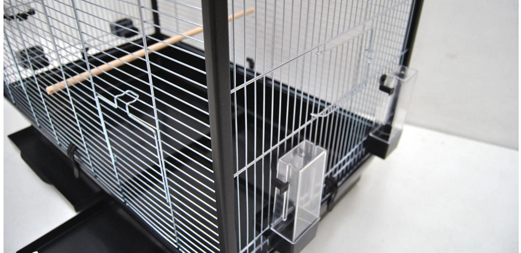 Cage à oiseaux perruche canaris avec volière ouverte vers le haut
