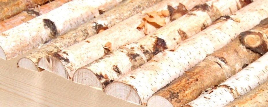 Mega XL Nagerhaus für Meerschweinchen und Kaninchen 50x25x33cm