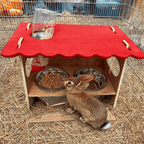 SNACKBAR LARGE feeding station including rodent water bottle (New) 