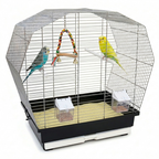 Vogelkäfig Vogelheim Chrom/Schwarz für Sittiche 57,5x33,5x55 cm mit zwei Wellensittichen und einer Vogelschaukel im Käfig.