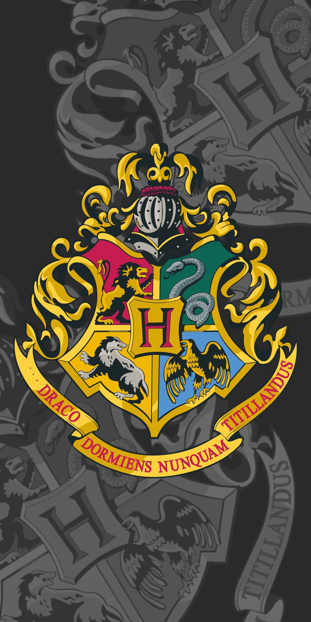 Harry Potter Hogwarts Wappen Duschtuch Strandtuch Badetuch  70 x 140 cm