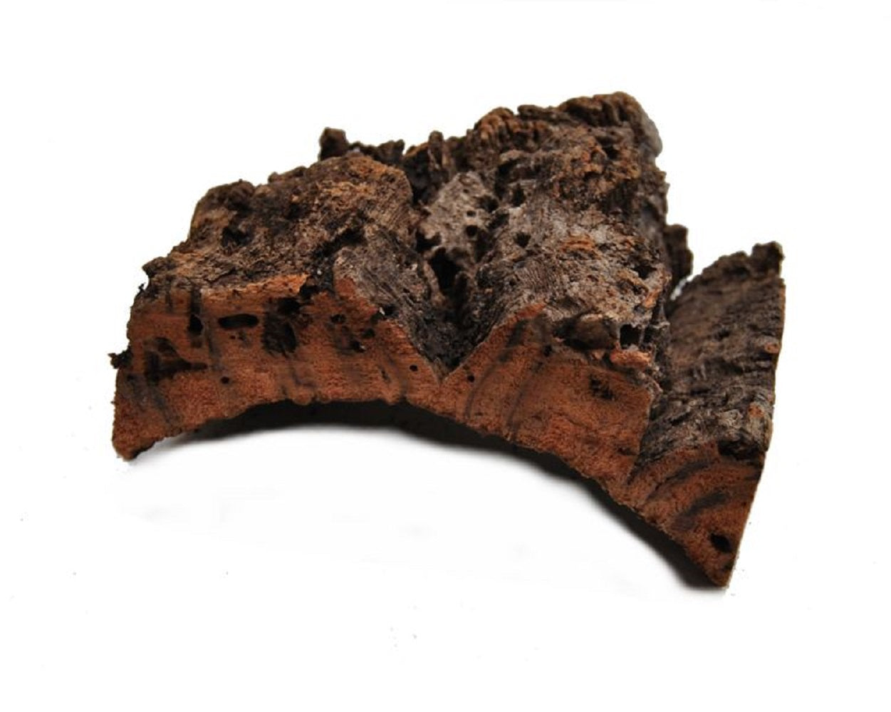 Korksitzbrett 15x10cm für Wellensittich, Nymphensittich zum Knabbern und Spielen