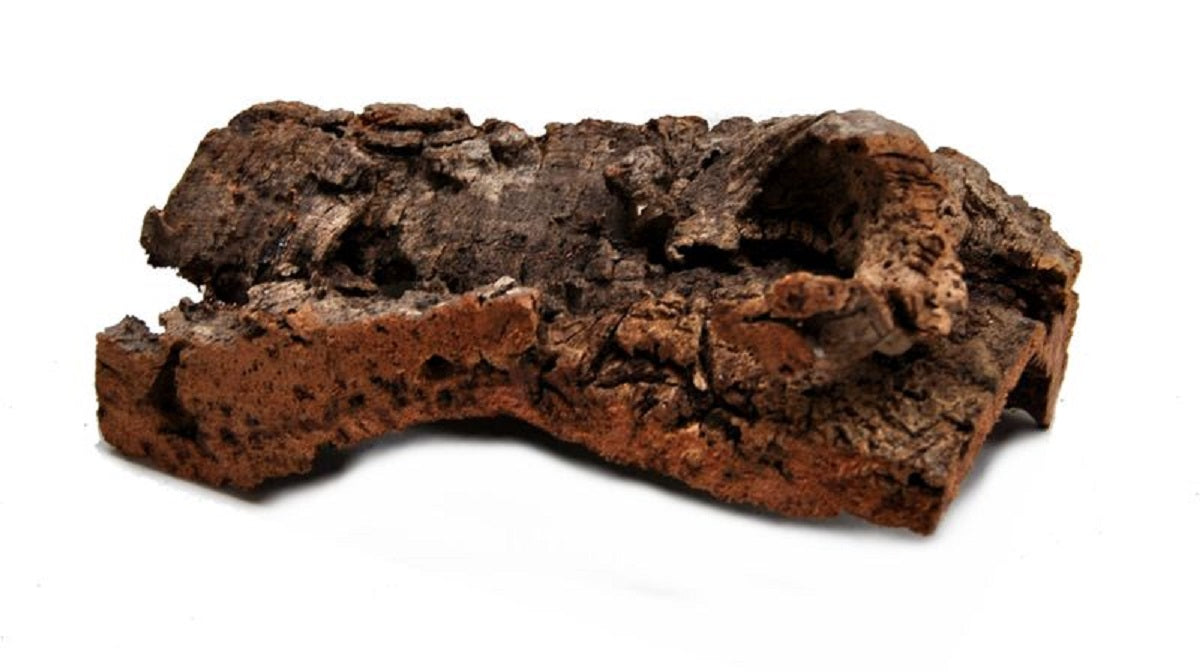 Korksitzbrett XL15x25cm für Wellensittich, Nymphensittich zum Knabbern und Spielen