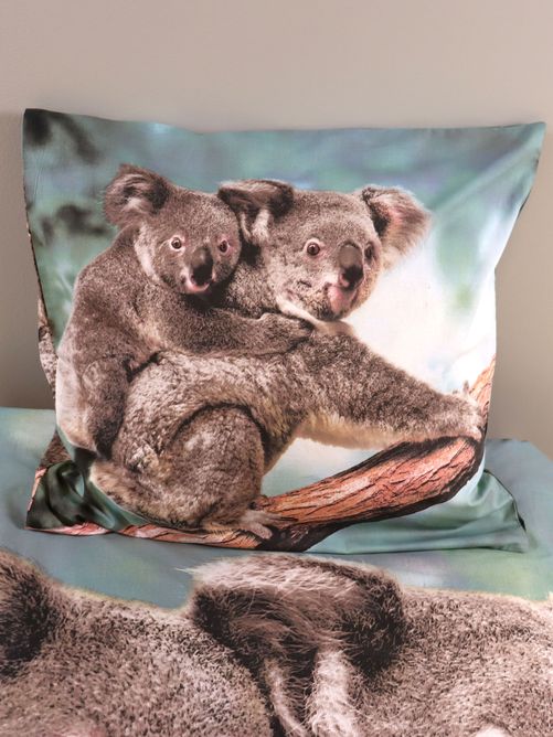 Bettwäsche Set mit Koala 135 x 200 cm 80 x 80 cm 100% Baumwolle