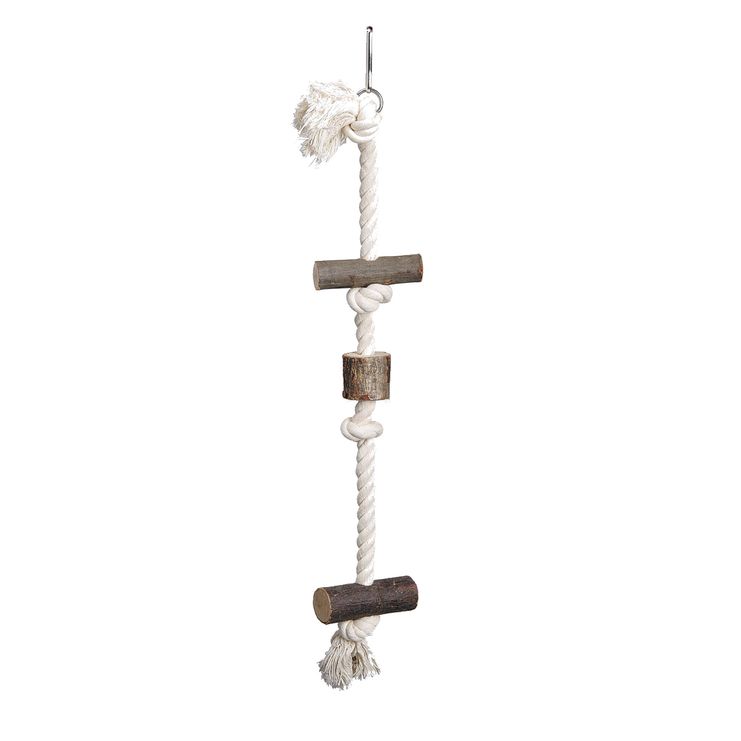 Set of 4 bird toys: swing, ladder, and hanging climbing rope 