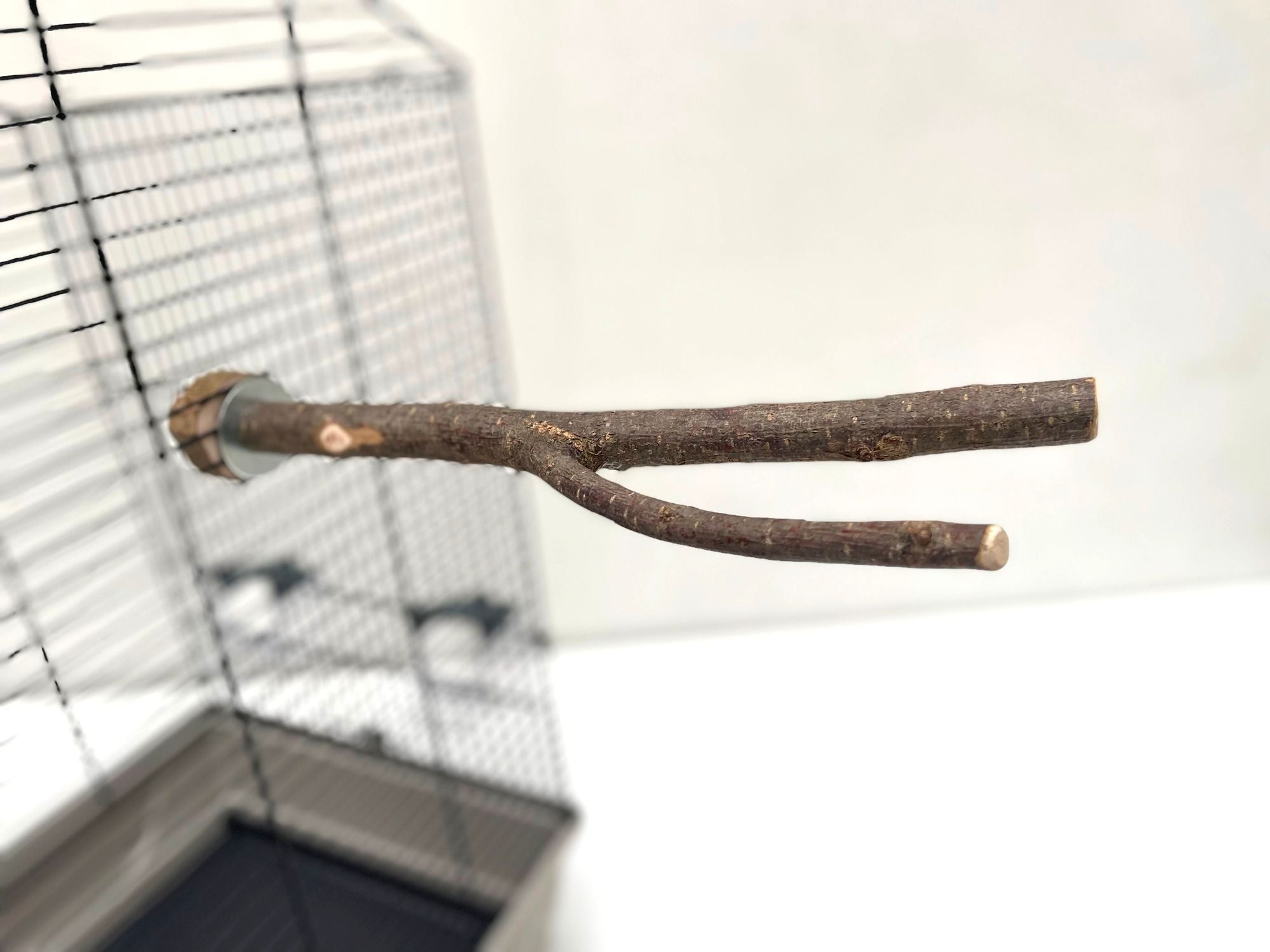 4 Sitzstangen Sitzzweige aus Naturholz ca. 30 cm