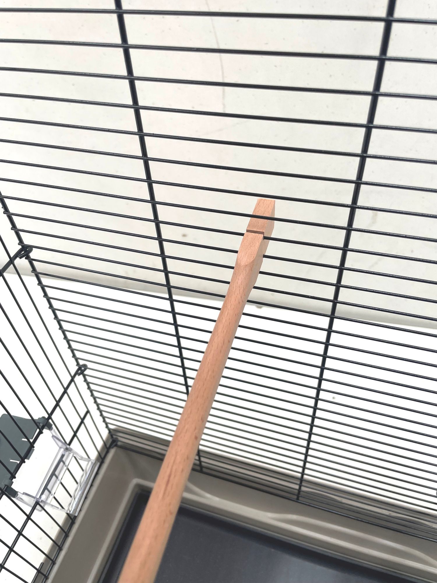 4 stabile Sitzstangen aus Buchenholz ca. 40 cm