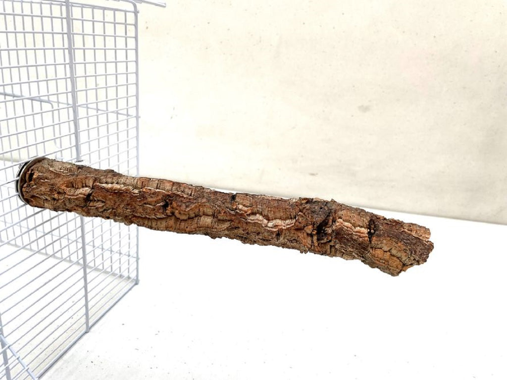 Korksitzstange 30cm für Vögel zum Knabbern und Spielen
