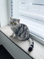 Fensterbankauflage für Katzen 60 x 25 cm Katzenbett