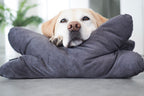 Hundekissen Kopfkissen Lebon - Cruto XL