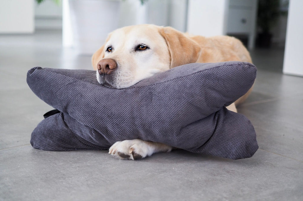 Hundekissen Kopfkissen Lebon - Cruto XL