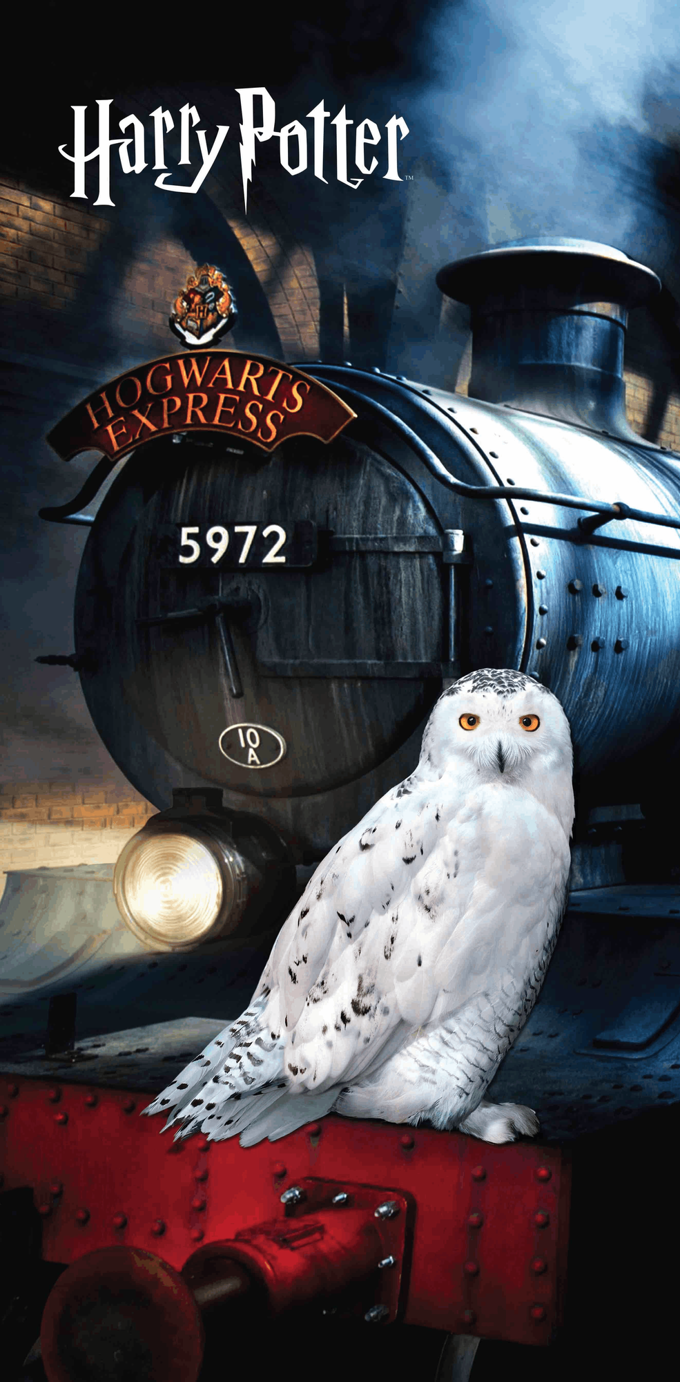 Harry Potter Badetuch. Magische Momente mit Hedwig am Hogwarts Express