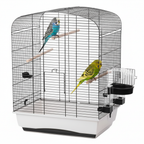 Innenansicht eines Vogelkäfigs mit zwei Wellensittichen auf Holzstangen, schwarzem Gitter, weißer Basis und Futter‑/Wasserstation.