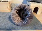 Nahaufnahme des kegelförmigen „Rozy“-Kuschelsacks auf grauem Teppich. Ein helles Kaninchen hat sich tief in den weichen Plüschsack zurückgezogen.