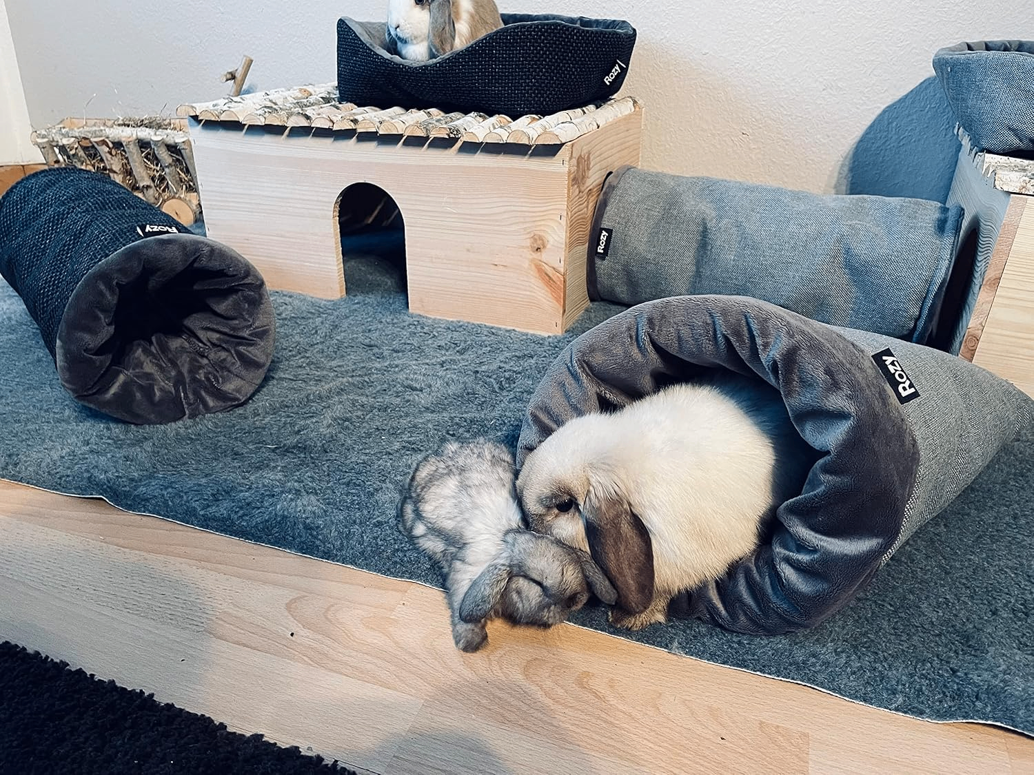 Szene im Gehege: Das helle Kaninchen liegt entspannt im „Rozy“-Kuschelsack, während ein dunkleres, kleineres Kaninchen direkt draußen neben der Öffnung ruht.