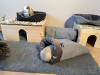 Gesamtansicht des Geheges: Kegelförmiger „Rozy“-Kuschelsack auf Teppich, helles Kaninchen liegt darin, dunkleres daneben. Ein Kaninchen sitzt auf dem Holzpodest.