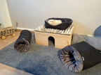 Meerschweinchengehege mit Holzspielzeug und grauem Teppich. Ein weißes Meerschweinchen sitzt oben in einem Kuschelbett.