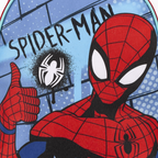 Detailaufnahme des Frontdrucks mit dem „Spider-Man“-Schriftzug, einem weißen Spinnen-Logo im Graffiti-Stil und der Nahaufnahme des Superhelden.