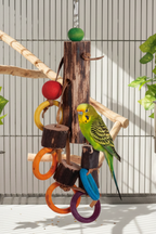 Papageienspielzeug 45cm aus Naturholz - Buntes Vogelspielzeug in einem Vogelkäfig mit einem Wellensittich