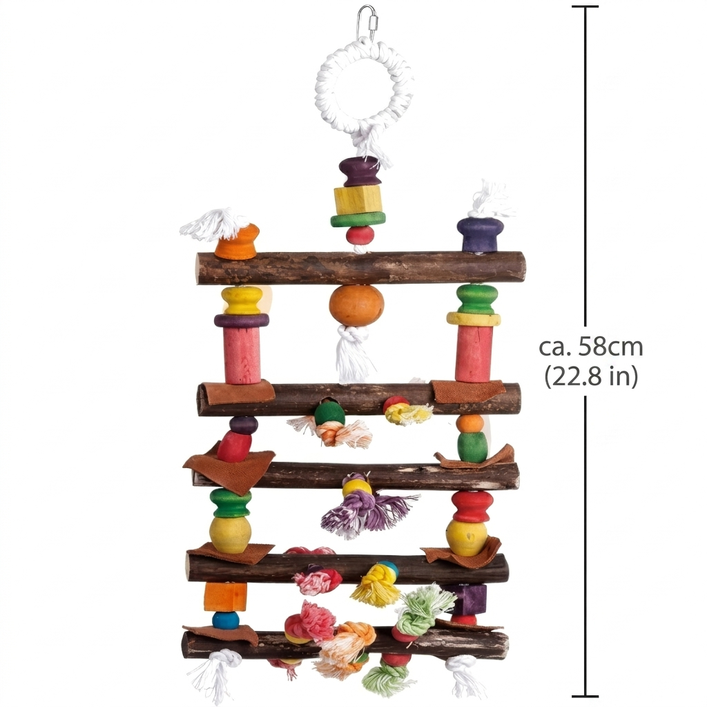 Papageienschaukel 58cm aus Naturholz - Bunte Vogelschaukel mit Abmessungen neben dem Produkt